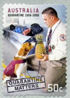 Australia-2008-100-Years-of-Quarantine-50-cent-Multi-PDie-Cut-Self-adhesive-as-design-5153-SG