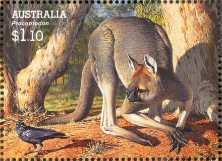 Australia-2008-Megafauna-large-extinct-Australian-creatures-1-1-dollar-Multi-P14-6-x-13-86-Procoptodon-goliah