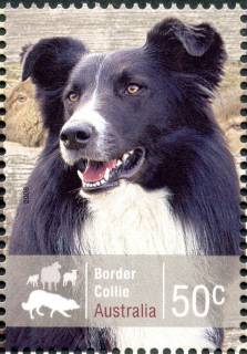 Australia-2008-Working-Dogs-50-cent-Multi-P14-6-x-13-86-Border-Collie