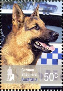 Australia-2008-Working-Dogs-50-cent-Multi-P14-6-x-13-86-German-Shpherd