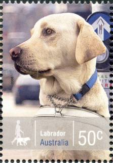 Australia-2008-Working-Dogs-50-cent-Multi-P14-6-x-13-86-Labrador