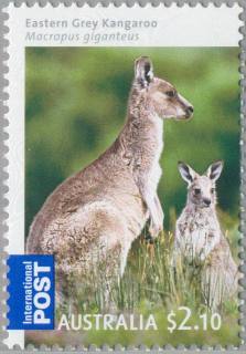 Australia-2009-Australian-Bush-Babies-Mammals-2-1-dollar-Multi-P13-86-x-14-6-Eastern-Grey-Kangaroo-Macropus-giganteus-in-grassland-with-youngster-beside-SG3219