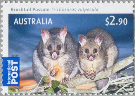 Australia-2009-Australian-Bush-Babies-Mammals-2-9-dollar-Multi-P13-86-x-14-6-Brushtail-Possum-Trichosurus-vulpecula-old-and-young-shown-adjacent-on-tree-branch-SG3220