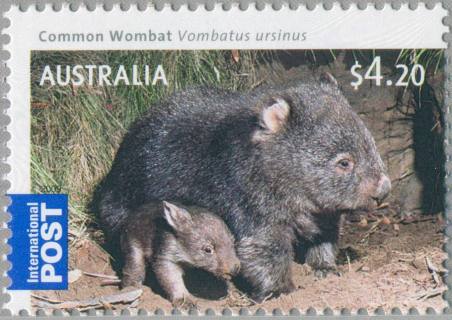 Australia-2009-Australian-Bush-Babies-Mammals-4-2-dollar-Multi-P13-86-x-14-6-Common-Wombat-Vombatus-ursinis-standing-with-young-under-midriff-SG3221