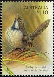 Australia-2009-Australian-Songbirds-1-1-dollar-Multi-P14-6-x-13-86-Noisy-Scrub-bird