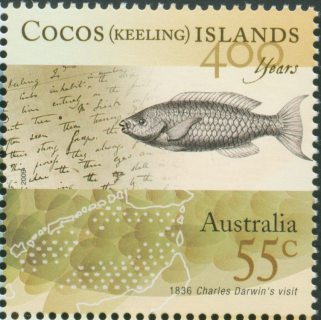 Australia-2009-Cocos-Keeling-Islands-400-years-since-Keeling-55-cent-Multi-P14-28-x-14-28-Year-1836-Visit-by-Charles-Darwin