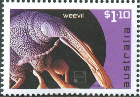 Australia-2009-Micro-Monsters-1-1-dollar-Multi-P13-86-x-14-6-Microscopic-view-of-Weevil-head-SG3240