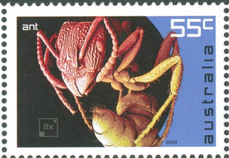 Australia-2009-Micro-Monsters-55-cent-Multi-P13-86-x-14-6-Microscopic-view-of-Ant-head-SG3239