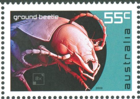 Australia-2009-Micro-Monsters-55-cent-Multi-P13-86-x-14-6-Microscopic-view-of-Ground-Beetle-head-SG3237