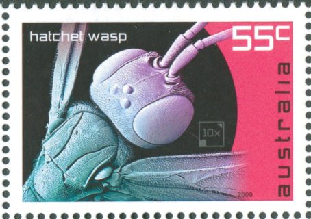 Australia-2009-Micro-Monsters-55-cent-Multi-P13-86-x-14-6-Microscopic-view-of-Hatchet-Wasp-head-SG3235