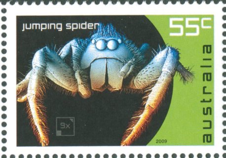 Australia-2009-Micro-Monsters-55-cent-Multi-P13-86-x-14-6-Microscopic-view-of-Jumping-Spider-head-SG3238