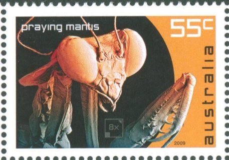 Australia-2009-Micro-Monsters-55-cent-Multi-P13-86-x-14-6-Microscopic-view-of-Praying-Mantis-head-SG3236