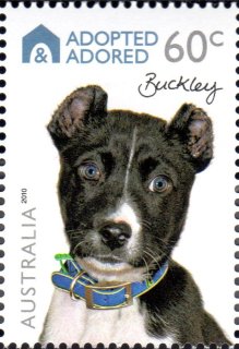 Australia-2010-Adopted-Adored-Pet-Dogs-60-cent-Multi-P14-4-x-14-Buckley-appears-to-be-of-no-pure-breed-SG3433