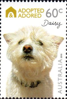 Australia-2010-Adopted-Adored-Pet-Dogs-60-cent-Multi-P14-4-x-14-Daisy-appears-to-be-of-no-pure-breed-SG3434