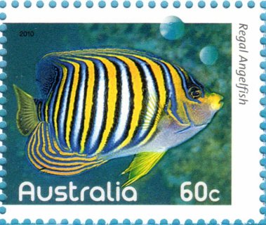 Australia-2010-Fishes-of-the-Reef-Part-I-60-cent-Multi-P14-x-14-4-Fish_3