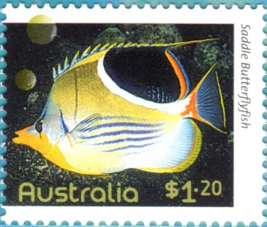 Australia-2010-Fishes-of-the-Reef-Part-II-1-2-dollar-Multi-P14-6-x-14-Fish