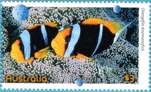 Australia-2010-Fishes-of-the-Reef-Part-II-3-dollar-Multi-P14-6-x-14-Fish