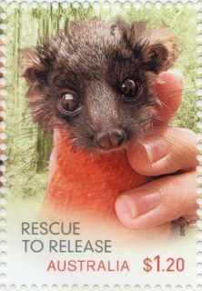 Australia-2010-Wildlife-Caring-Rescue-to-Relief-1-2-dollar-Multi-P14-6-x-13-86-Ringtail-Possum-baby-wrapped-in-orange-mini-blanket-SG3497