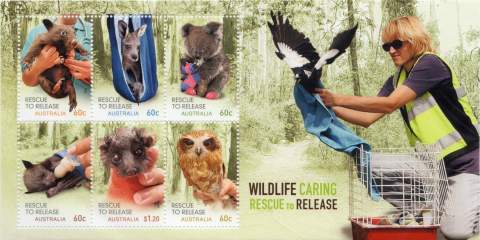 Australia-2010-Wildlife-Caring-Rescue-to-Relief-4-2-dollar-Multi-P14-6-x-13-86-Has-all-six-designs-with-background-of-lass-releasing-black-and-white-raptor-or-possibly-magpie