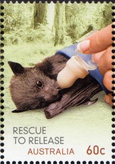 Australia-2010-Wildlife-Caring-Rescue-to-Relief-60-cent-Multi-P14-6-x-13-86-Feeding-baby-Grey-headed-Flting-Fox-SG3495