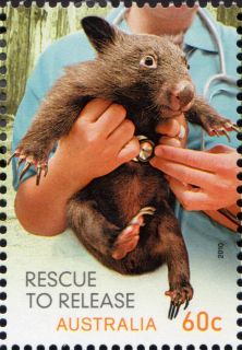 Australia-2010-Wildlife-Caring-Rescue-to-Relief-60-cent-Multi-P14-6-x-13-86-Rescue-Common-Wombat-SG3492