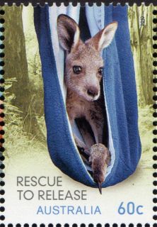 Australia-2010-Wildlife-Caring-Rescue-to-Relief-60-cent-Multi-P14-6-x-13-86-Rescue-Eastern-Grey-Kangaroo-in-blue-sling-SG3493