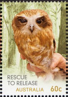 Australia-2010-Wildlife-Caring-Rescue-to-Relief-60-cent-Multi-P14-6-x-13-86-Southern-Boobook-owl-held-by-waist-and-tail-SG3496