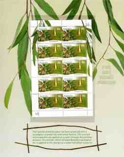 Australia-2011-Farming-Australia-Native-Plants-10-x-60-Multi-P13-86-x-14-6-Sheetlet-of-10-in-presentation-folder-SG