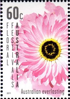 Australia-2011-Floral-Festivals-Australia-60-cent-Multi-P13-86-x-14-6-Pink-Australian-everlasting-daisy