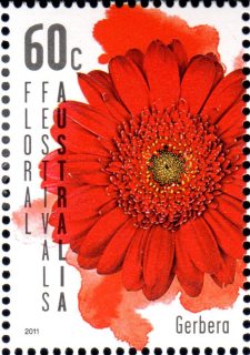 Australia-2011-Floral-Festivals-Australia-60-cent-Multi-P13-86-x-14-6-Red-gerbera