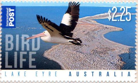 Australia-2011-Lake-Eyre-2-25-dollar-Multi-P14-4-x-14-Theme-Bird-Life