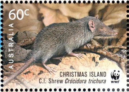 Australia-2011-World-Wildlife-Fund-for-Nature-Fifty-Years-60-cent-Multi-P13-86-x-14-6-Christmas-Island-Shrew-Crocidura-trichura