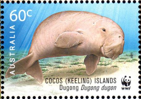 Australia-2011-World-Wildlife-Fund-for-Nature-Fifty-Years-60-cent-Multi-P13-86-x-14-6-Dugong-Dugong-dugong