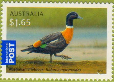 Australia-2012-Australian-Waterbirds-1-65-dollar-Multi-P13-86-x-14-6-Australian-shelduck-Tadorna-tadornoides-SG3736