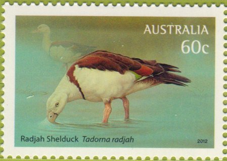 Australia-2012-Australian-Waterbirds-60-cent-Multi-P13-86-x-14-6-Radjah-shelduck