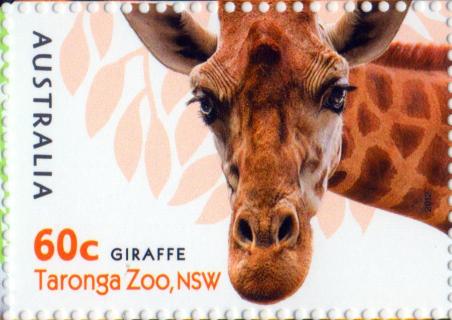 Australia-2012-Australian-Zoos-60-cent-Multi-P13-86-x-14-6-Giraffe