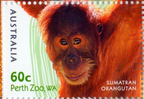 Australia-2012-Australian-Zoos-60-cent-Multi-P13-86-x-14-6-Orangutan-SG3856