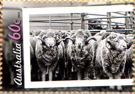 Australia-2012-Living-Australian-Series-Two-60-cent-Grey-scale-P13-86-x-14-6-The-Godfathers-group-of-merino-rams-in-balck-and-white-photo-SG3811