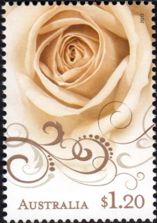 Australia-2012-Precious-Moments-1-2-dollar-Multi-P14-6-x-13-86-Single-rose-in-Champagne-shades-with-scroll-linework-SG3691