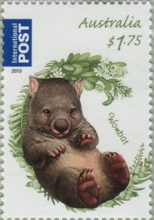 Australia-2013-Bush-Babies-II-1-75-dollar-Multi-P13-86-x-14-6-Wombat-SG3962