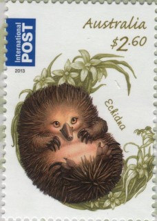 Australia-2013-Bush-Babies-II-2-6-dollar-Multi-P13-86-x-14-6-Echidna-aka-Spiny-Anteater-SG3963