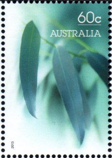 Australia-2013-Special-Occasions-Greetings-2013-60-cent-Multi-P14-6-x-13-86-Blue-green-gum-leaves-SG3917