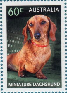 Australia-2013-Top-Dogs-60-cent-Multi-P14-6-x-13-86-Dog_1