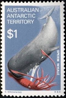 AAT-1973-Equipment-and-Surroundings-1-dollar-Multi-P13-50-AAT-Sperm-Whale