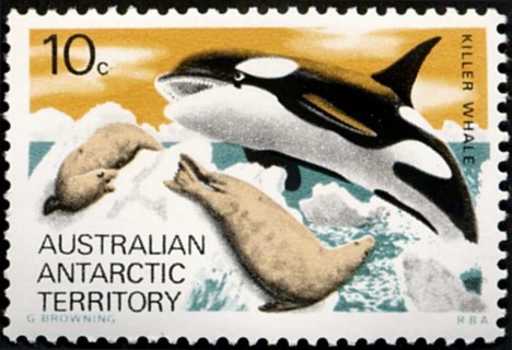 AAT-1973-Equipment-and-Surroundings-10-cent-Multi-P13-50-AAT-Killer-whale