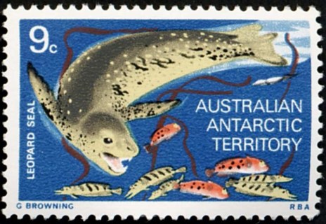 AAT-1973-Equipment-and-Surroundings-9-cent-Multi-P13-50-AAT-Leopard-seal