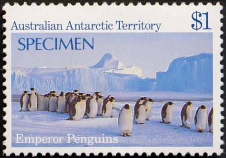 AAT-1985-Antarctic-Scenes-1-dollar-Multi-P13-5-x-14-AAT-Emperor-Penguins-Aptenodytes-forsteri-SGA77S