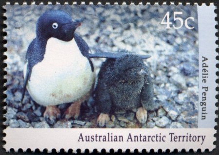 AAT-1992-Antarctic-Wildlife-45-cent-Multi-P14-x-14-5-AAT-Adelie-Penguin-Pygoscelis-adeliae-and-chick-SGA90