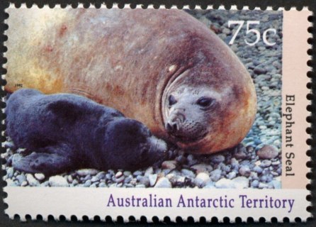 AAT-1992-Antarctic-Wildlife-75-cent-Multi-P14-x-14-5-AAT-Elephant-seal