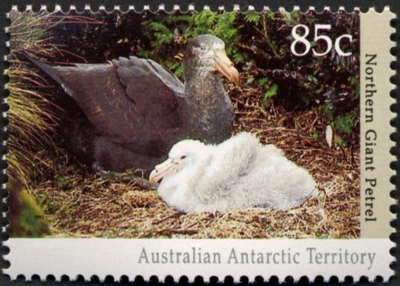 AAT-1992-Antarctic-Wildlife-85-cent-Multi-P14-x-14-5-AAT-Halls-giant-petrel